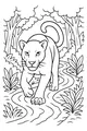 Panther Steps Along the Forest Stream