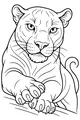 Panther Princess of the Jungle Branch