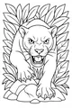 Panther Sneaks Through the Jungle Leaves