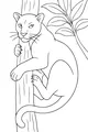 Panther Climbing Up the Jungle Tree