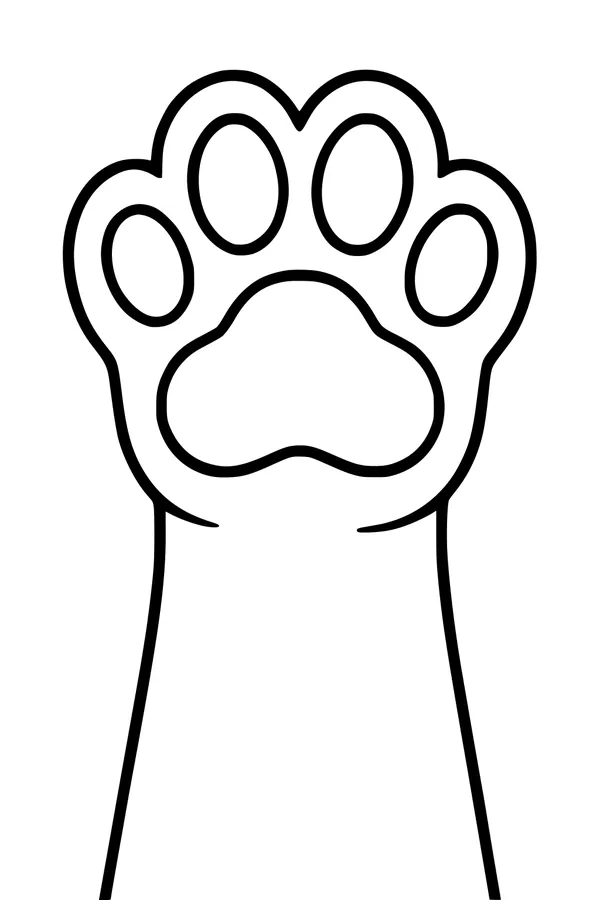 The Panther’s Big Waving Paw