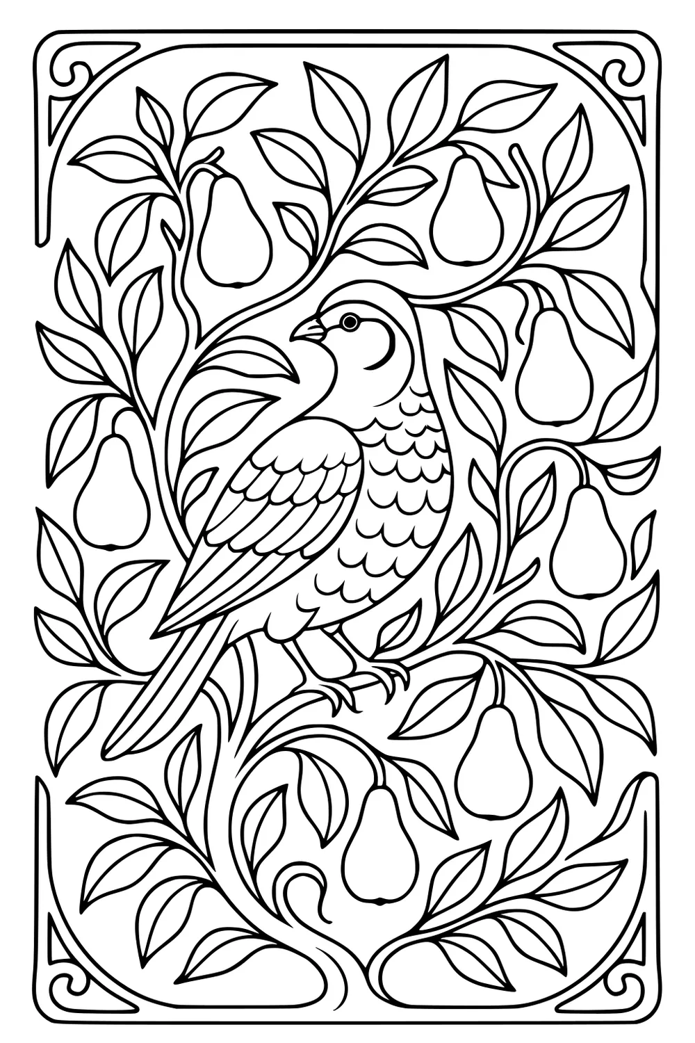 Partridge perched among curling pear tree branches with layered leaves and three pears, drawn with thick decorative outlines.