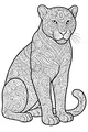 Jungle Leopard with Swirly Spots