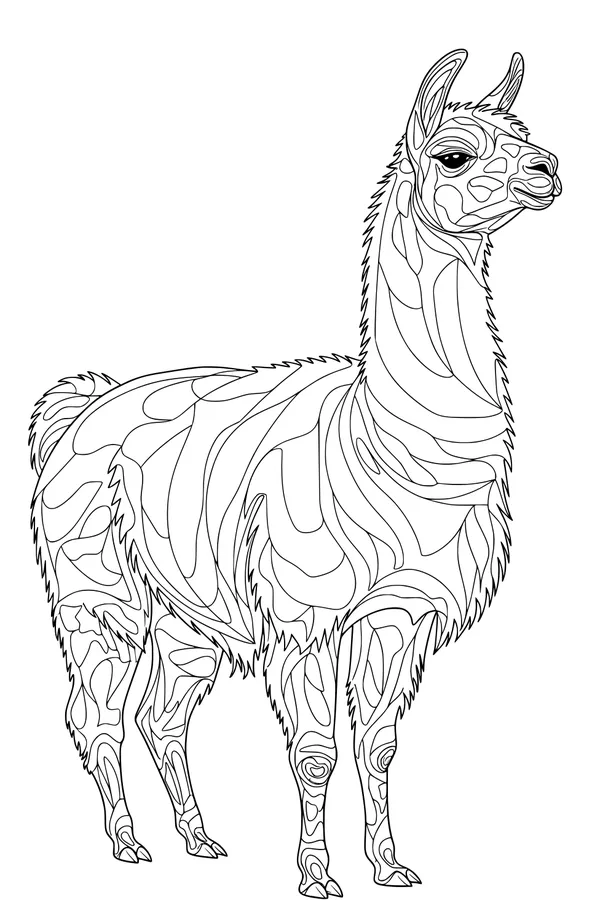 Twisty Patterns on Lila the Llama
