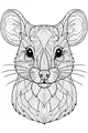 Whiskers and Wonder: The Secret Mouse