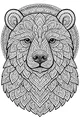 Big Bear With A Secret Pattern Coat