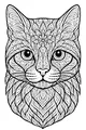 Whisker Petal Cat with Big Bright Eyes