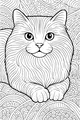Fluffy Cat With Swirly Whiskers