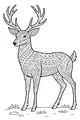 The Fancy Forest Buck Stands Tall
