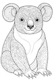 Swirly Patterns on Koala’s Big Ears