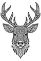 Patterns in the Forest: The Stag