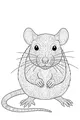 Whiskers the Snuggly Rat Sits Still