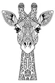 Meet Geraldine the Gentle Giraffe