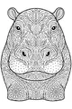 Patterned Hippo in the Wild Garden