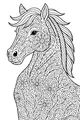 Meadow Parade: The Flowery Horse