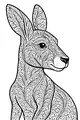 Leafy Kangaroo in the Sun