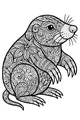 Mossy the Mole’s Magical Patterns