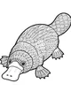 Wiggly Platypus Swims with Fancy Feathers