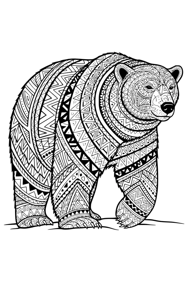Patterns Across the Arctic Bear