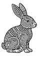 Patterns On Peter Rabbit's Coat