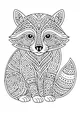Maze Markings on Rascal Raccoon