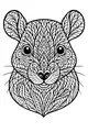 Whiskers and Swirls: Rat Portrait Fun