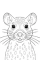 Whisker Wishes with a Playful Rat