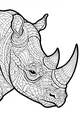 Rhino’s Fancy Patterns Up Close