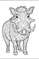 Zigzag Warthog and His Wild Patterns