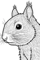 Swirly Whiskers and Bright Eyes Squirrel