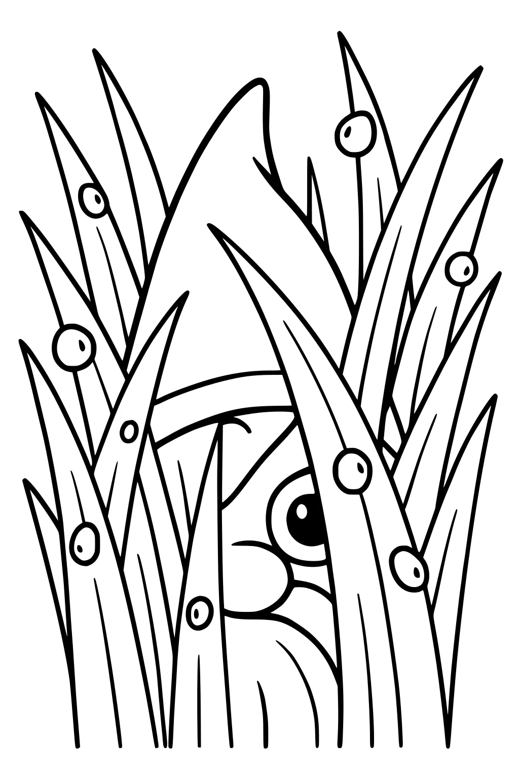 Gnome peeking from tall grass with pointy hat, one large eye, round nose, long beard, and dotted dewdrops on leaves.