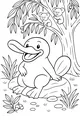 Mister Platypus and the Koala Friends