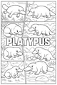 Plucky Platypus Plays in the Pond