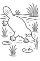 Paddle and Splash with Perry the Platypus