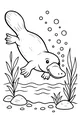 Billy the Platypus Swims Beneath the Pond