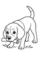 Puppy With a Special Delivery