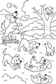 Puppy Playground in the Park