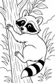 Rocky Raccoon Climbs the Tall Tree