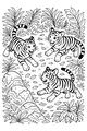 Tiger Cubs Tumble Through the Jungle