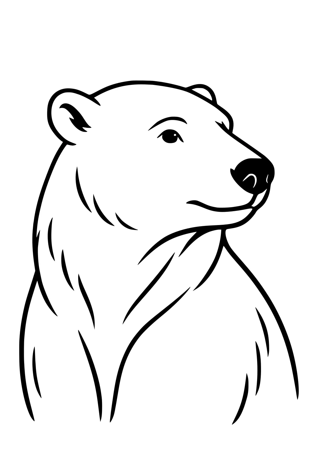 Line drawing of a polar bear shown from the chest up with rounded ears and a calm face, looking to the right.