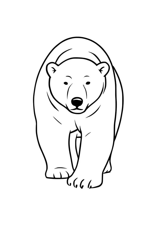 Big Paws on Crunchy Ice