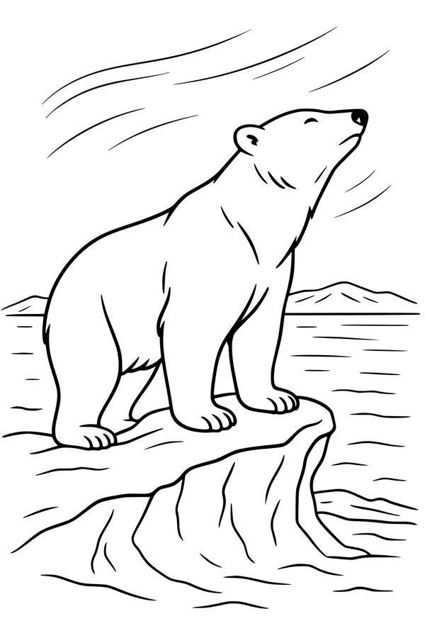 Mighty Bear on the Chilly Ice Rock