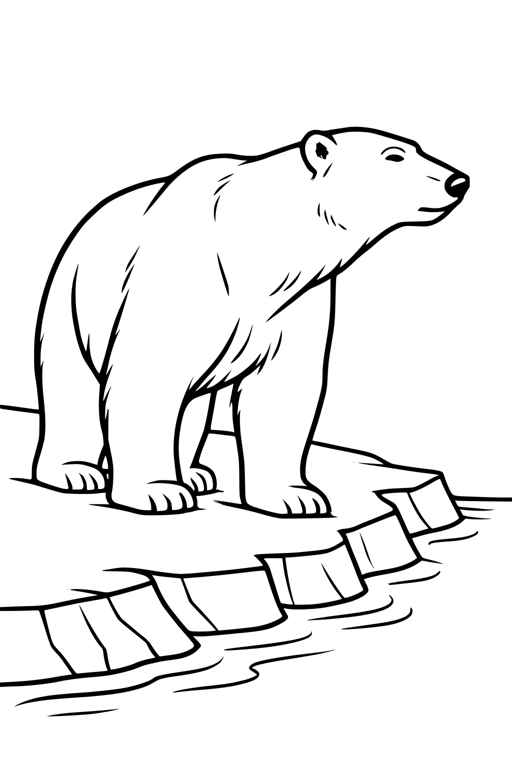 Polar bear with thick fur standing on an ice block by the water, head turned slightly and front paws apart.