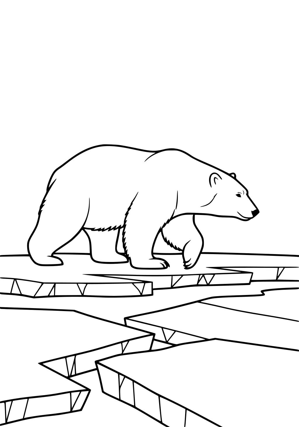 Polar bear walking across cracked ice sheets with blank background.