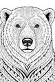Polar Bear With a Patterned Coat