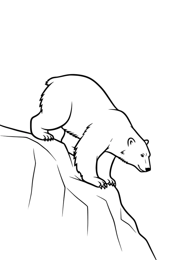 Polar Explorer on the Windy Cliff