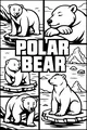 Polar Bear Picnic on Ice Blocks
