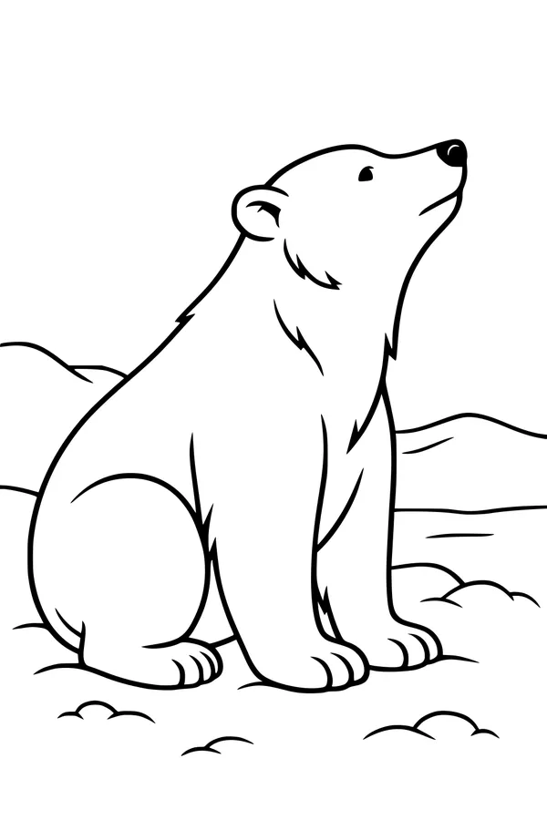 Snowy Sitter in the Polar Hills