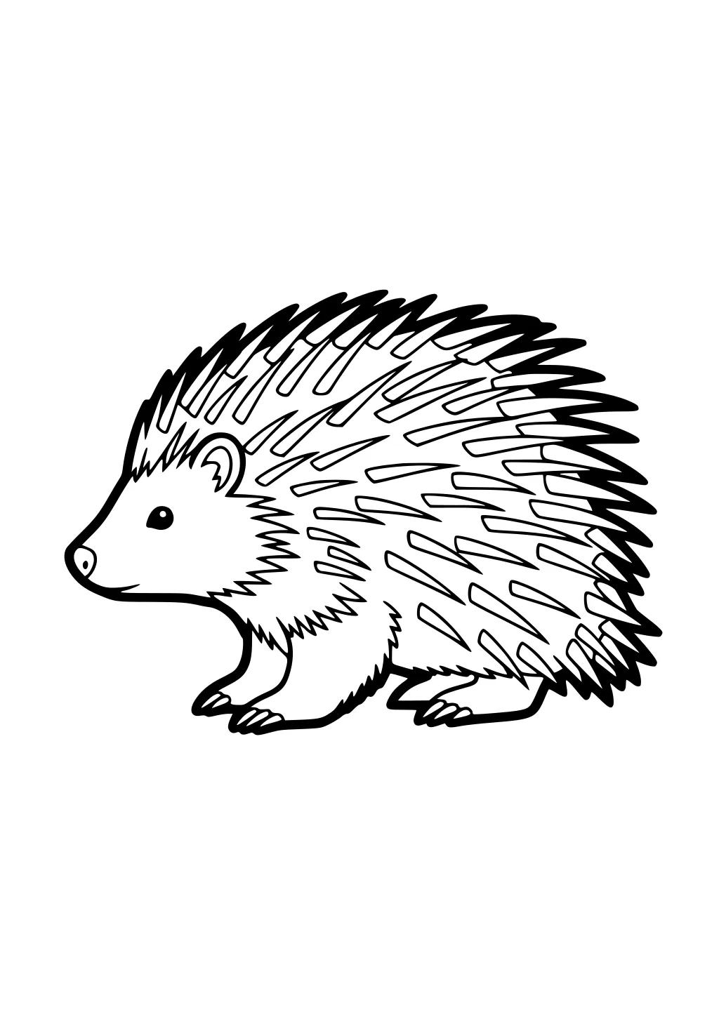 Line drawing of a porcupine with short legs, round face, and spiky quills fanned out across its back.
