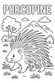 Porcupine Stroll by the Mountains